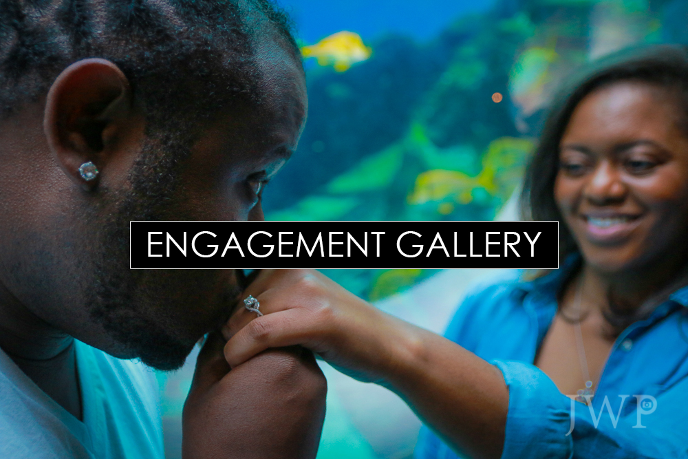 engagement-gallery